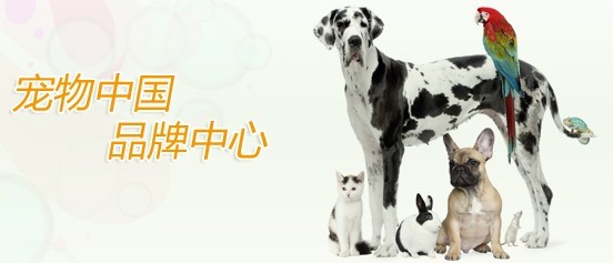 衛(wèi)仕寵物食品 網(wǎng)絡(luò)銷(xiāo)售策略與消費(fèi)者選擇分析